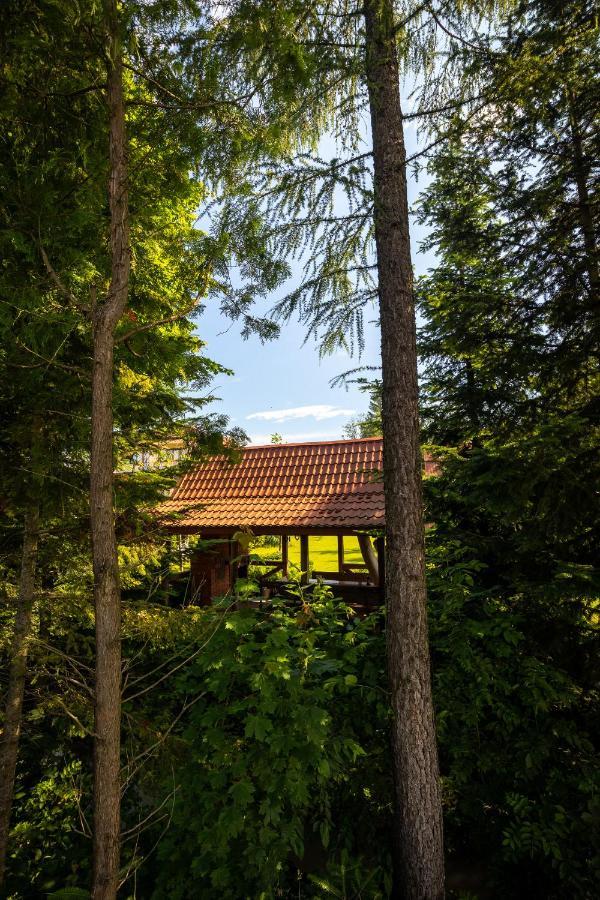 Uroczysko Villa Lesko Kültér fotó