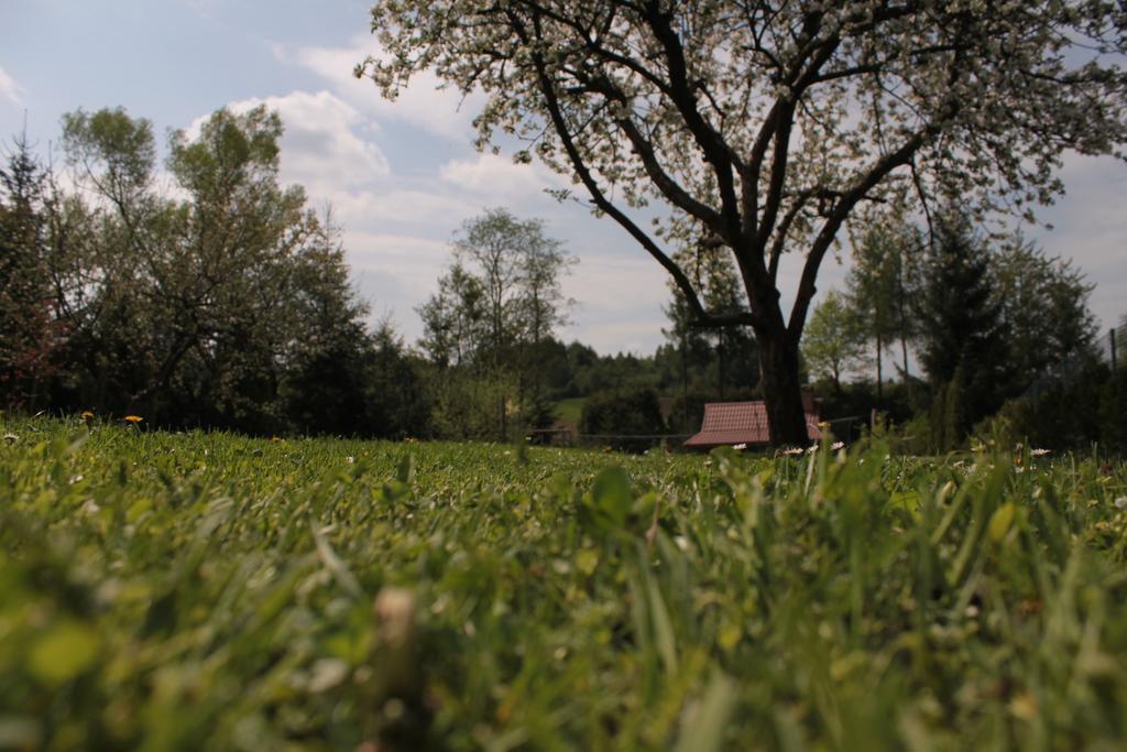 Uroczysko Villa Lesko Kültér fotó